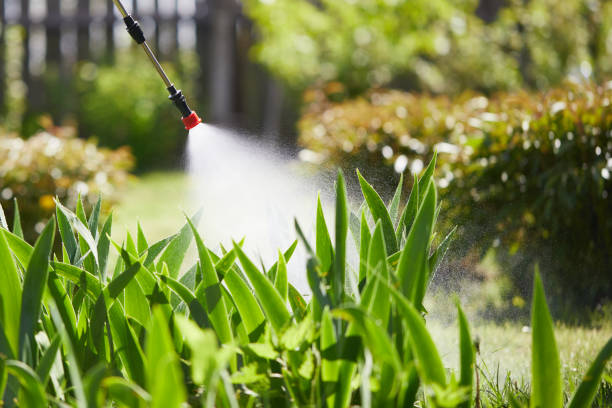 24/7 Emergency Fumigation Services experts in Country Club, MO