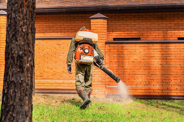 Trusted Cockroach Control service in Country Club, MO - Nex Pest Control
